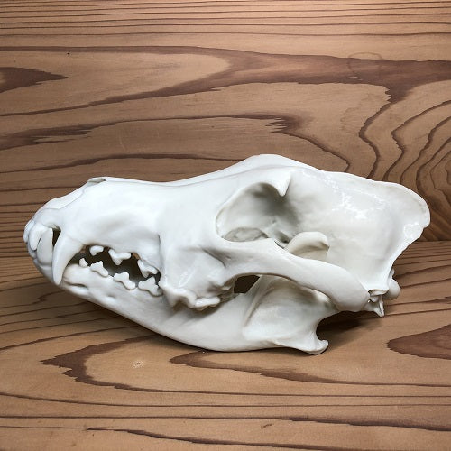 ギャラリー画像