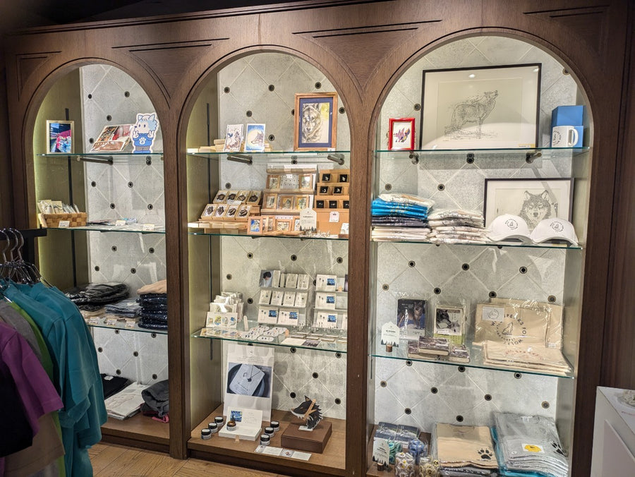 ギャラリー画像